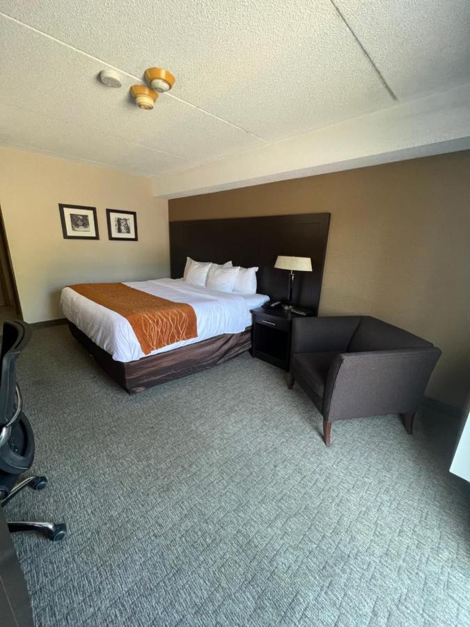 Inn Comfort 2*